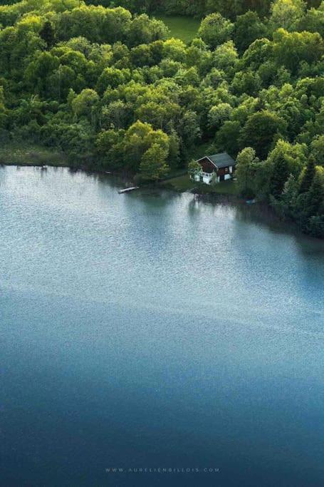 Villa Jura, L'Ecrin A Pied Entre Village Et Pistes Foncine-le-Haut Екстериор снимка