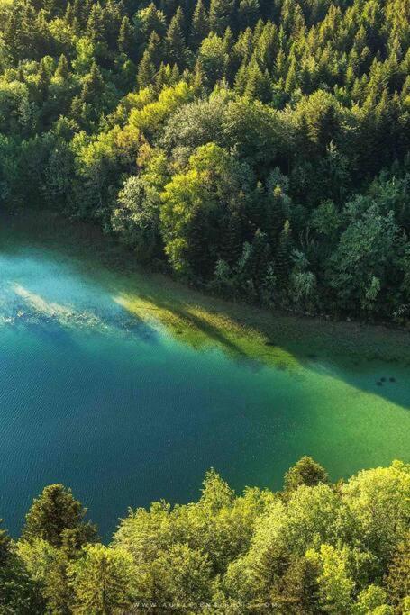 Villa Jura, L'Ecrin A Pied Entre Village Et Pistes Foncine-le-Haut Екстериор снимка