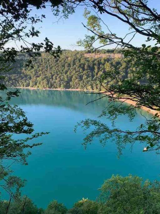 Villa Jura, L'Ecrin A Pied Entre Village Et Pistes Foncine-le-Haut Екстериор снимка